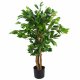 Leaf Design 90cm Artificial Evergreen Ficus Tree