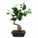 Leaf Design 50cm Artificial Ficus Rounded Leaf Bonsai Tree