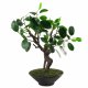 Leaf Design 40cm Artificial Ficus Bonsai Tree