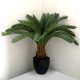 Leaf Design 70cm Artificial Tropical Cycas Palm Plant
