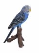 Vivid Arts Pet Pals Blue Budgerigar (Size F)
