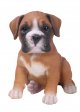 Vivid Arts Pet Pals Boxer Puppy (Size F)