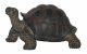 Vivid Arts Pet Pals Baby Tortoise (Size F)