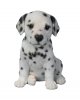 Vivid Arts Pet Pals Dalmatian Puppy (Size F)
