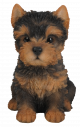 Vivid Arts Yorkshire Terrier Puppy (Size F)