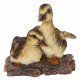 Vivid Arts Real Life Playful Ducklings (Size D)