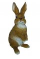 Vivid Arts Real Life Lookout Rabbit - Size C