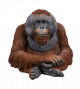 Vivid Arts Real Life Orangutan - Size D