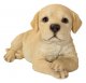 Vivid Arts Laying Golden Labrador Puppy (Size F)