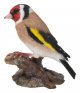Vivid Arts WBC Goldfinch (Size F)