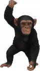 Vivid Arts Real Life Hanging Chimpanzee - Size B