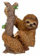 Vivid Arts Real Life Climbing Sloth (Size B)