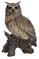 Vivid Arts Real Life Eagle Owl (Size B)