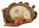 Vivid Arts Real Life Young Hedgehog in Leaf (Size D)
