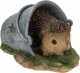 Vivid Arts Real Life Hedgehog in Rusty Pail (Size D)