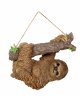Vivid Arts Real Life Hanging Sloth (Size B)