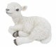 Vivid Arts Real Life Sitting Lamb (Size D)