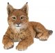 Vivid Arts Real Life Laying Lynx (Size A)