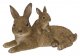 Vivid Arts Real Life Mother & Baby Rabbit - Size B 