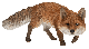 Vivid Arts Real Life Prowling Fox (Size B)