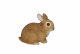 Vivid Arts Real Life Young Sitting Rabbit (Size E)
