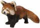 Vivid Arts Real Life Red Panda - Size B 
