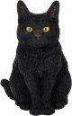 Vivid Arts Real Life Sitting Black Cat (Size D)