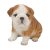 Vivid Arts Pet Pals Bulldog Puppy - Size F