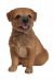 Vivid Arts Real Life Border Terrier - Size B