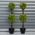Leaf Design 90cm Pair of Green Double Ball Topiary Trees