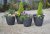 Greenhurst Granite Planters (Pack of 4)