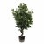 Leaf Design 110cm Artificial Evergreen Ficus Tree Multicolour Planter