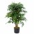Leaf Design 90cm Luxury Smilax Sarsaparilla Artificial Ficus Tree (Premium Range)