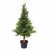 Leaf Design 95cm Artificial Cedar Cypress Artificial Topiary Tree UV Protected