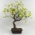 Leaf Design 60cm Artificial White Blossom Bonsai Tree