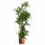 Leaf Design 150cm Artificial Natural Moss Base Fern Foliage Plant with Copper Metal Plater