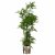 Leaf Design 150cm Artificial Natural Moss Base Fern Foliage Plant with Silver Metal Plater