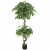 Leaf Design 150cm Artificial Twisted Ficus Tree