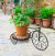 Panacea Rustica Italia Mosaic Tile Tricycle Plant Stand