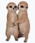 Vivid Arts Hugging Meerkats - Size B