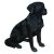 Vivid Arts Real Life Black Labrador - Size B
