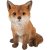Vivid Arts Real Life Sitting Fox Cub - Size D