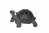 Vivid Arts Real Life Giant Tortoise - Size A