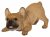 Vivid Arts Active Pups Golden French Bulldog (Size D)