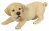 Vivid Arts Active Pups Golden Labrador (Size D)