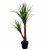 Leaf Design 110cm Artificial Dracaena Nolina Recurvata Palm Tree