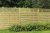 Forest Garden Pressure Treated Decorative Kyoto Fence Panel