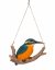 Vivid Arts Hanging Kingfisher on Branch Box