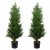 Leaf Design 120cm Pair of Artificial Cypress Topiary Trees