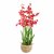 Leaf Design 90cm Oncidium Artificial Orchid Red in Stoneware Planter